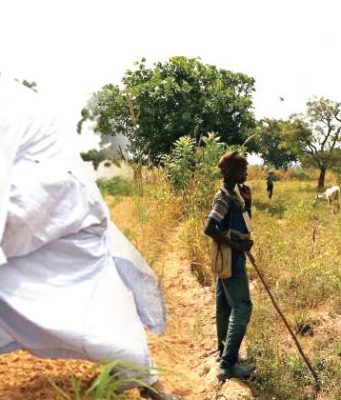 Struggle for survival exacerbates conflict between farmers and ranchers – DG IPCR Struggle for survival exacerbates conflict between farmers and ranchers - DG IPCR