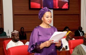 Natasha’s beauty a problem to her, says ex-works minister, Ogunlewe