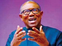 Vatican trip not political, Pope’s message should inspire reform – Obi